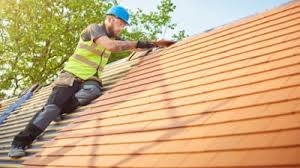 Best Roof Moss and Algae Removal  in Mora, MN