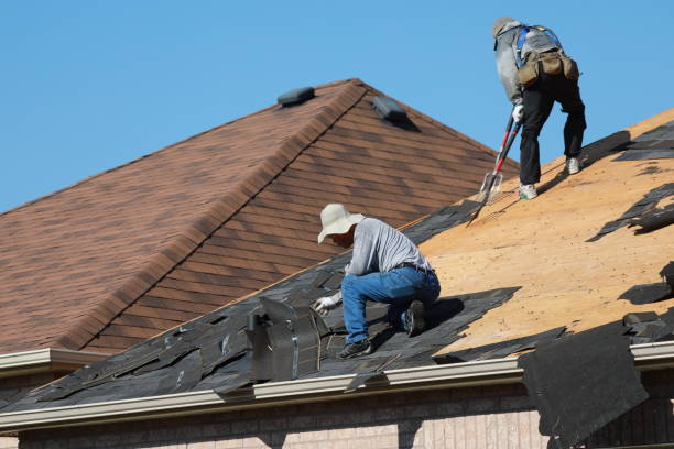 Best Roof Maintenance and Cleaning  in Mora, MN