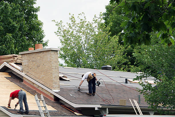 Best Roof Insulation Installation  in Mora, MN