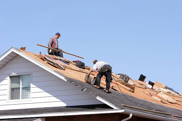 Best Rubber Roofing (EPDM, TPO)  in Mora, MN